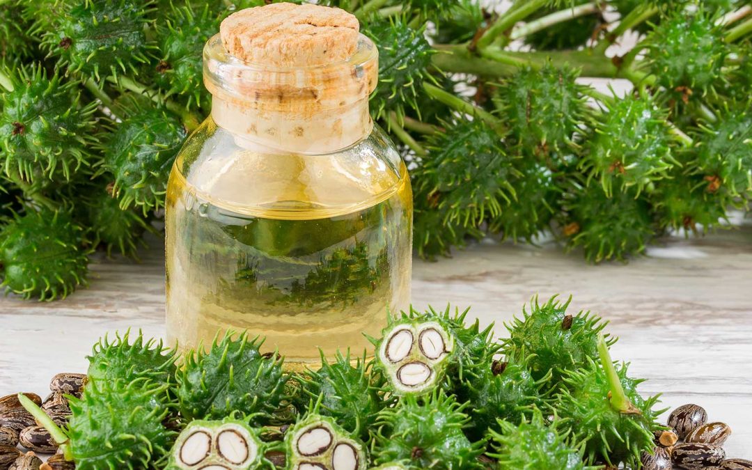 Benefits of Castor Oil