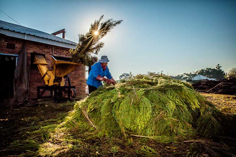 Earth-inspired Natural Wellness