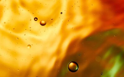 Castor Oil – Nourishing for Winter Skin and Hair