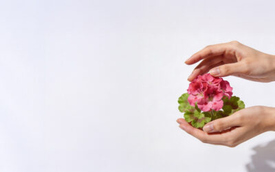 Create your own Summer Love scents: Easy DIY blends